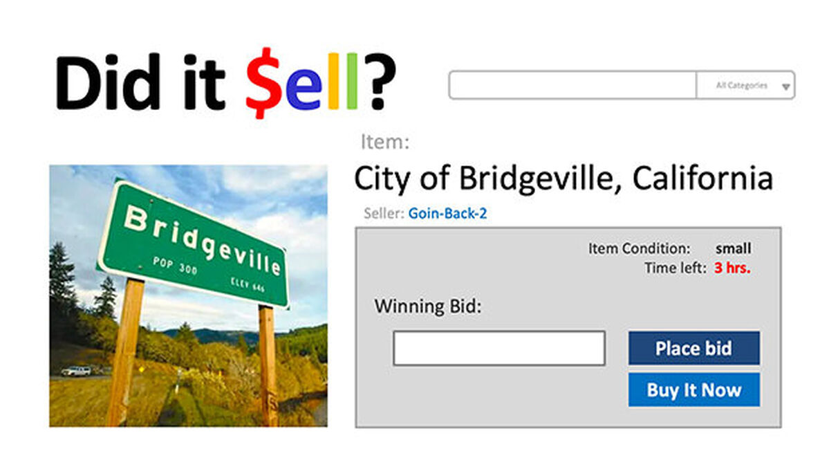 Did it Sell? Volume 4 image number 6